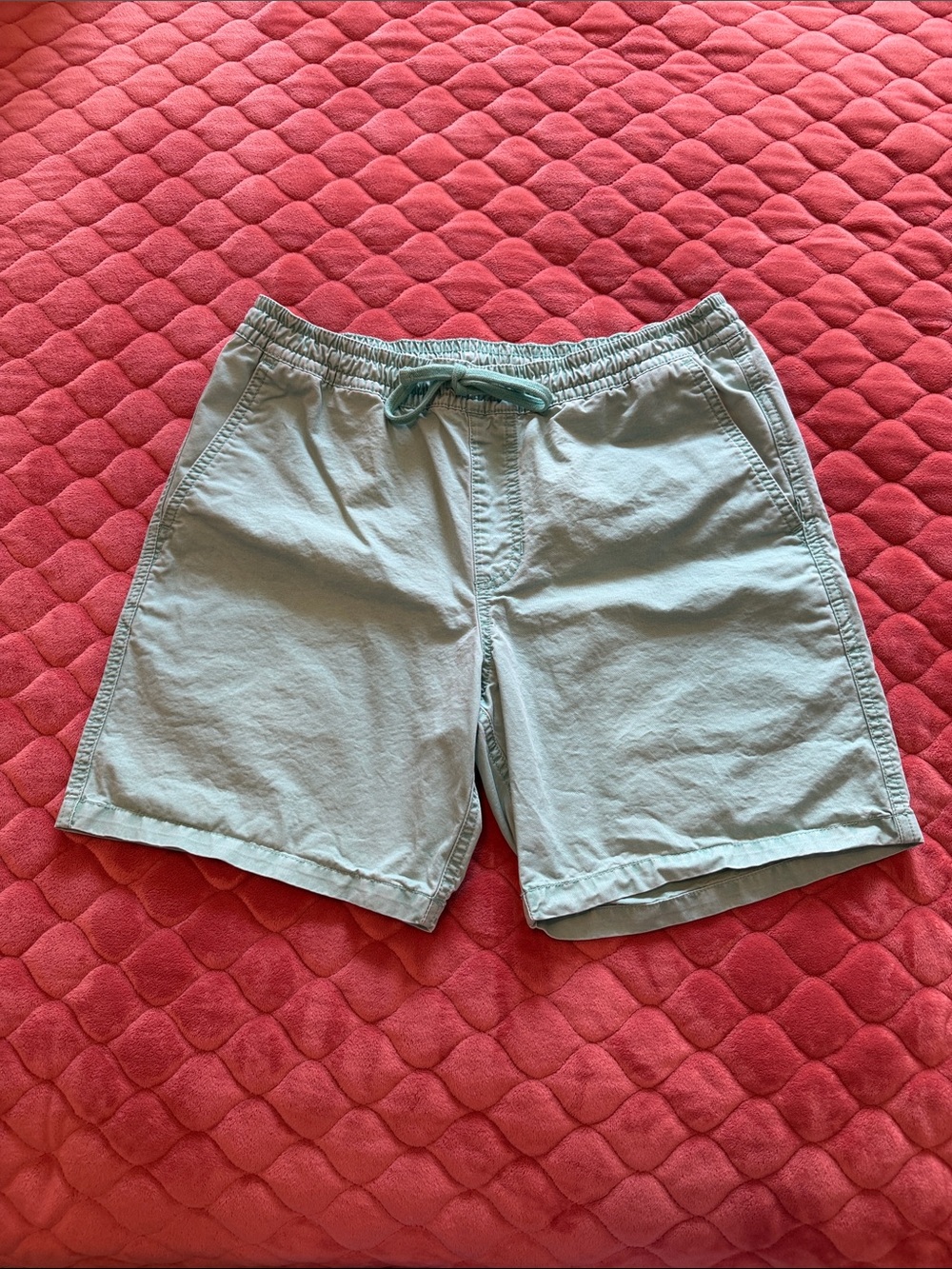 Vans Casual Shorts, Men's Medium